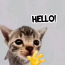 Hello, world!
